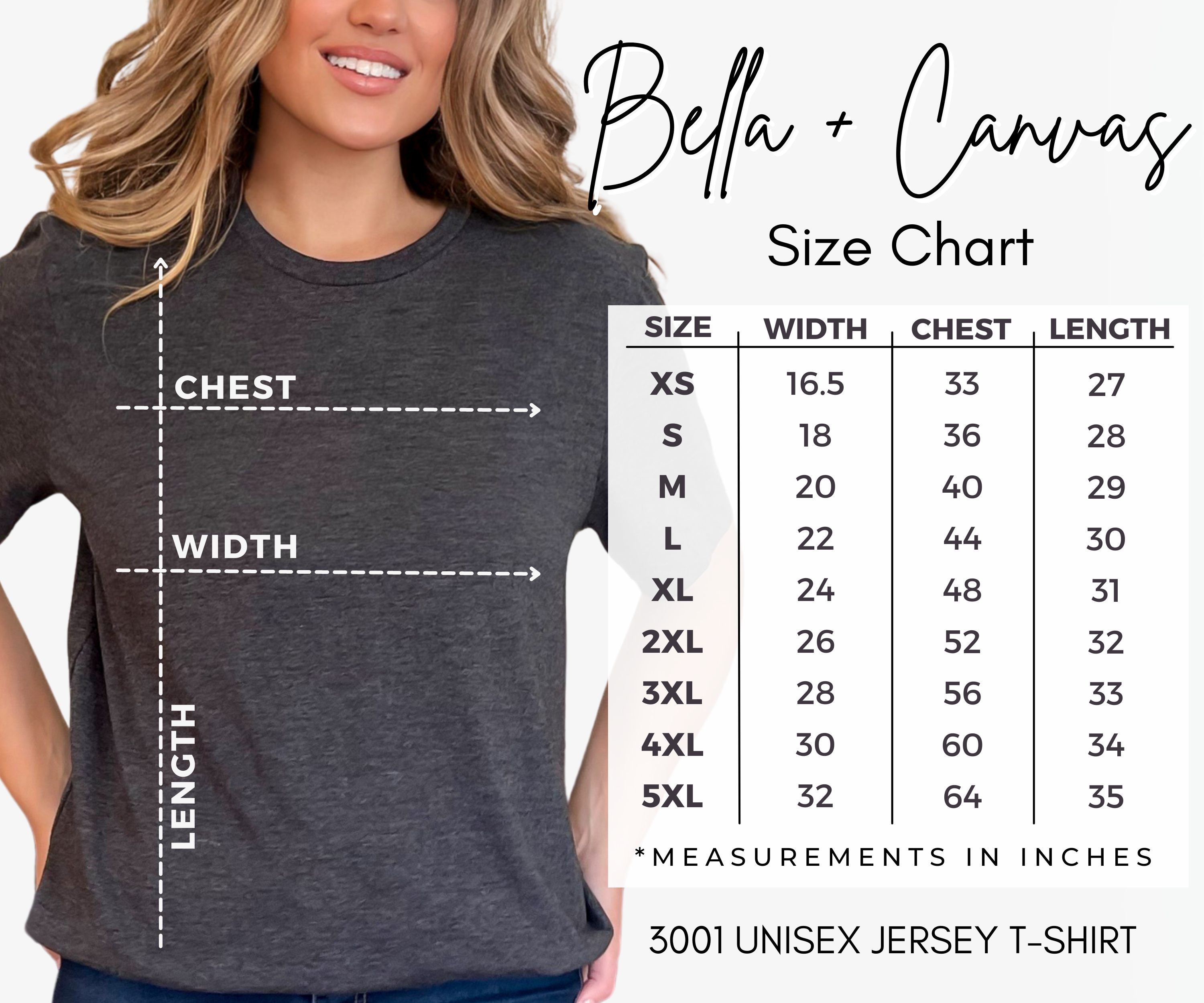 Silly Teacher Goose Tee